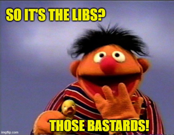 SO IT'S THE LIBS? THOSE BASTARDS! | made w/ Imgflip meme maker