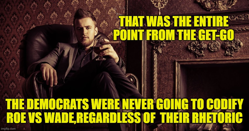 THAT WAS THE ENTIRE POINT FROM THE GET-GO THE DEMOCRATS WERE NEVER GOING TO CODIFY ROE VS WADE,REGARDLESS OF  THEIR RHETORIC | made w/ Imgflip meme maker