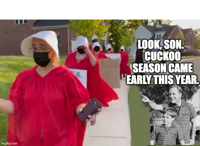 Daily crazy all the way 'til November. | LOOK, SON.  
CUCKOO SEASON CAME EARLY THIS YEAR. | image tagged in handmaid,lib protestors | made w/ Imgflip meme maker