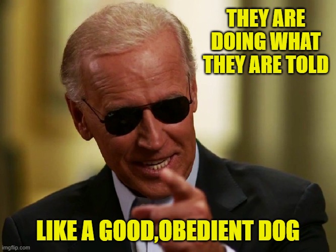 Cool Joe Biden | THEY ARE DOING WHAT THEY ARE TOLD LIKE A GOOD,OBEDIENT DOG | image tagged in cool joe biden | made w/ Imgflip meme maker