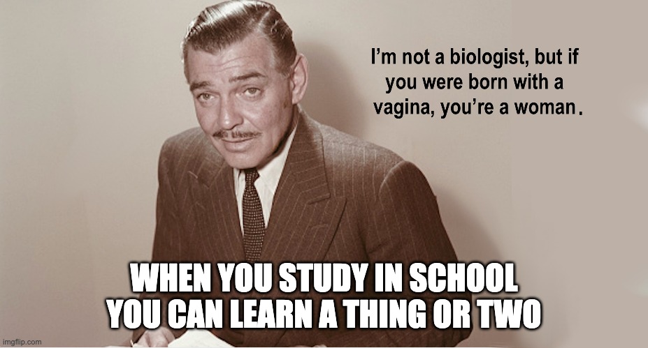 WHEN YOU STUDY IN SCHOOL YOU CAN LEARN A THING OR TWO | image tagged in ketanji,you can't handle the truth,supreme court | made w/ Imgflip meme maker