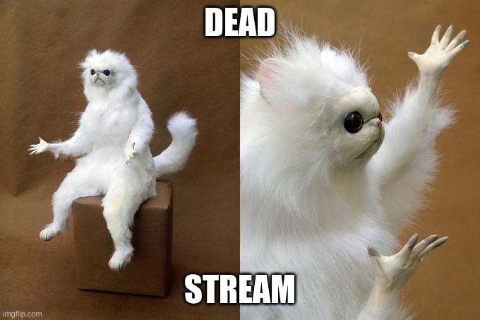 Persian Cat Room Guardian Meme | DEAD STREAM | image tagged in memes,persian cat room guardian | made w/ Imgflip meme maker