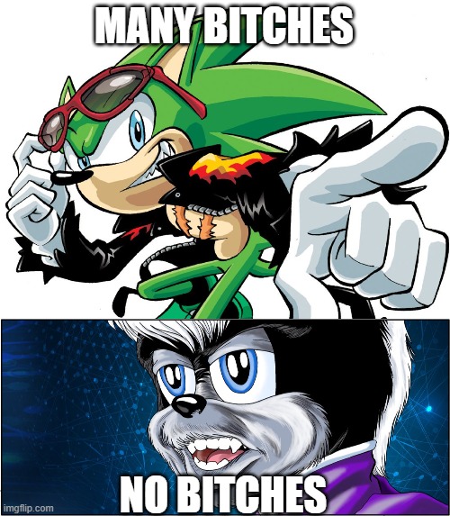 Difference bewtween the two | MANY BITCHES; NO BITCHES | image tagged in sonic the hedgehog | made w/ Imgflip meme maker