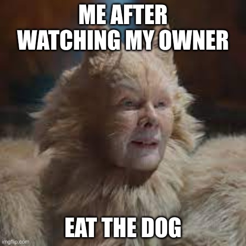 No good title | ME AFTER WATCHING MY OWNER; EAT THE DOG | image tagged in grumpy cat,cats,cat,confused,dog,memes | made w/ Imgflip meme maker