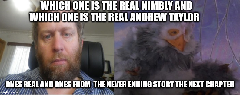 nimbly and imposter | WHICH ONE IS THE REAL NIMBLY AND WHICH ONE IS THE REAL ANDREW TAYLOR; ONES REAL AND ONES FROM  THE NEVER ENDING STORY THE NEXT CHAPTER | image tagged in nimbly and imposter | made w/ Imgflip meme maker