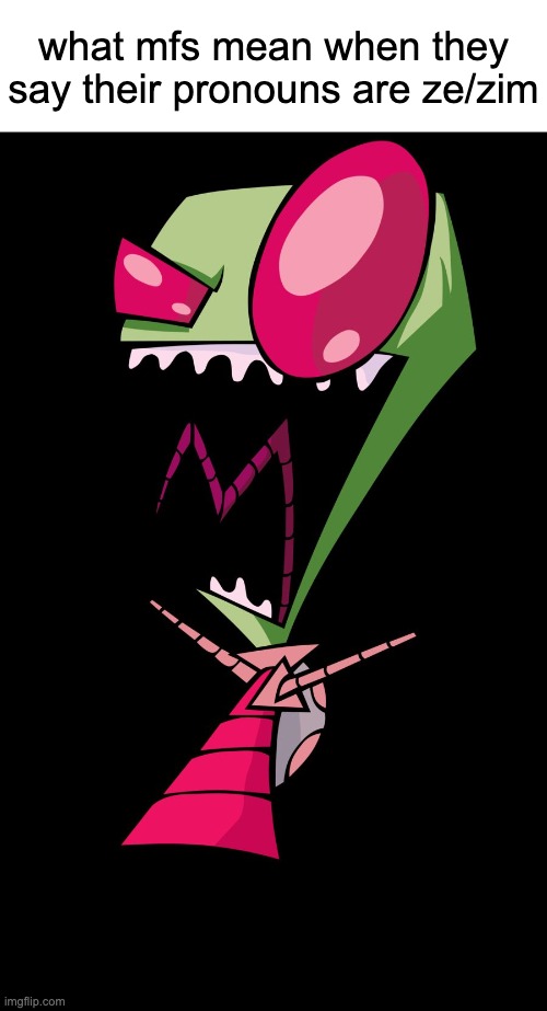 Invader Zim | what mfs mean when they say their pronouns are ze/zim | image tagged in invader zim | made w/ Imgflip meme maker