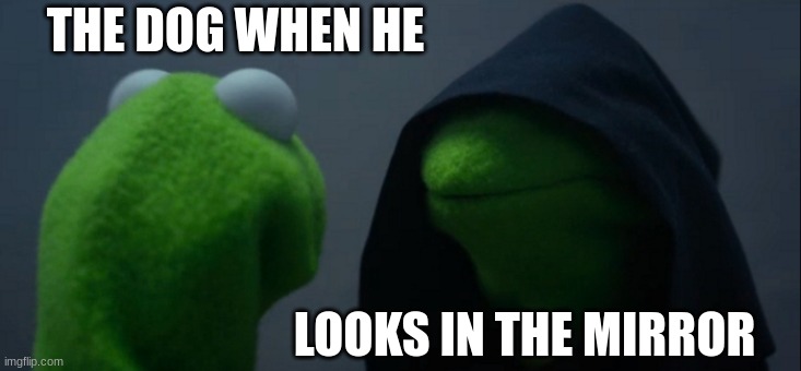 Evil Kermit | THE DOG WHEN HE; LOOKS IN THE MIRROR | image tagged in memes,evil kermit | made w/ Imgflip meme maker