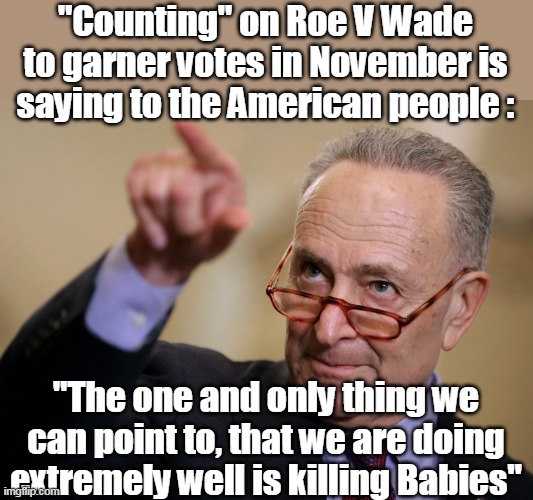 How low have we sunk as a people ? | "Counting" on Roe V Wade to garner votes in November is saying to the American people :; "The one and only thing we can point to, that we are doing extremely well is killing Babies" | image tagged in memes,abortion | made w/ Imgflip meme maker