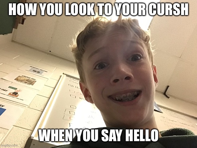True | HOW YOU LOOK TO YOUR CURSH; WHEN YOU SAY HELLO | image tagged in so true memes | made w/ Imgflip meme maker