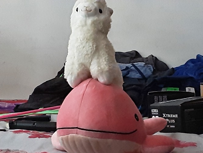 Mah plushies (a llama and a whale, I also have a bunny-) | made w/ Imgflip meme maker