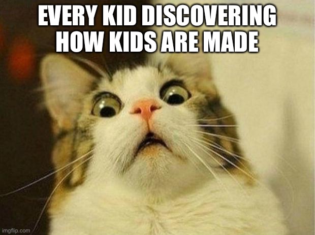 Was this you? | EVERY KID DISCOVERING HOW KIDS ARE MADE | image tagged in memes,scared cat,cats,funny | made w/ Imgflip meme maker