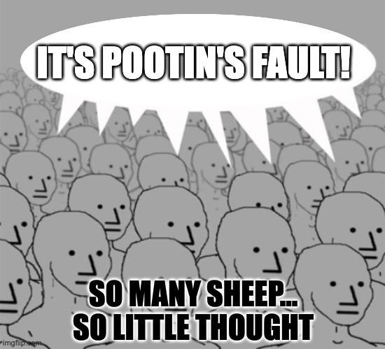 IT'S POOTIN'S FAULT! SO MANY SHEEP...
SO LITTLE THOUGHT | made w/ Imgflip meme maker
