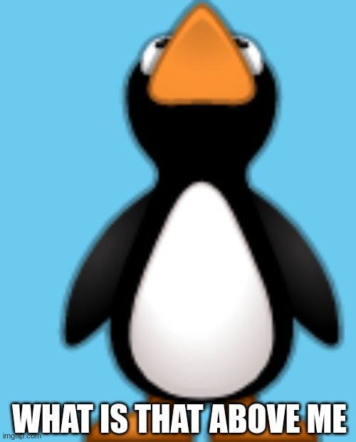 what is that above me | WHAT IS THAT ABOVE ME | image tagged in what is that above me lulu | made w/ Imgflip meme maker