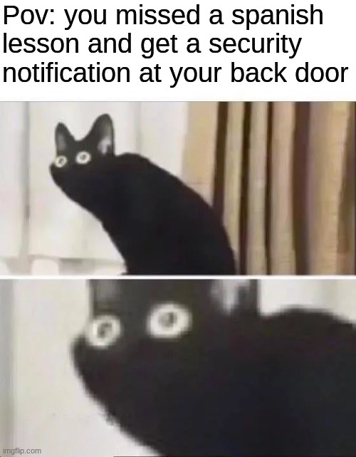 DUOLINGO IS COMING | Pov: you missed a spanish lesson and get a security notification at your back door | image tagged in oh no black cat | made w/ Imgflip meme maker