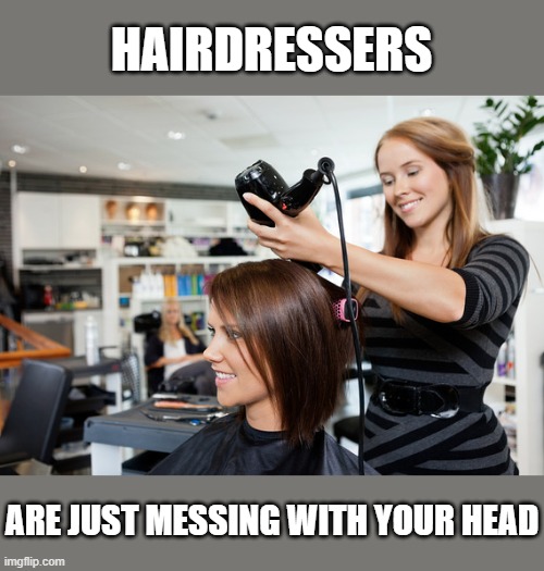Hairdresser | HAIRDRESSERS; ARE JUST MESSING WITH YOUR HEAD | image tagged in hairdresser | made w/ Imgflip meme maker
