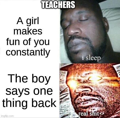 School | TEACHERS; A girl makes fun of you constantly; The boy says one thing back | image tagged in memes,sleeping shaq | made w/ Imgflip meme maker