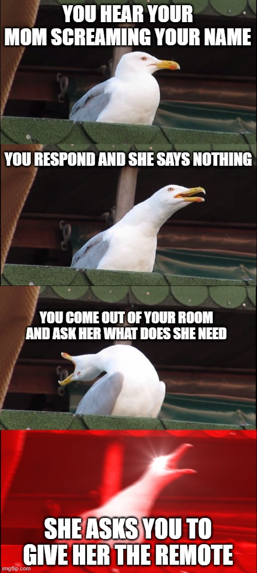 THE REMOTE IS LITERALLY 2 STEPS AWAY FROM YOU | YOU HEAR YOUR MOM SCREAMING YOUR NAME; YOU RESPOND AND SHE SAYS NOTHING; YOU COME OUT OF YOUR ROOM AND ASK HER WHAT DOES SHE NEED; SHE ASKS YOU TO GIVE HER THE REMOTE | image tagged in memes,inhaling seagull | made w/ Imgflip meme maker