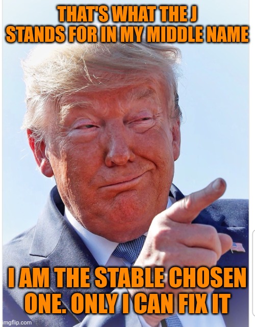 Trump pointing | THAT'S WHAT THE J STANDS FOR IN MY MIDDLE NAME I AM THE STABLE CHOSEN ONE. ONLY I CAN FIX IT | image tagged in trump pointing | made w/ Imgflip meme maker