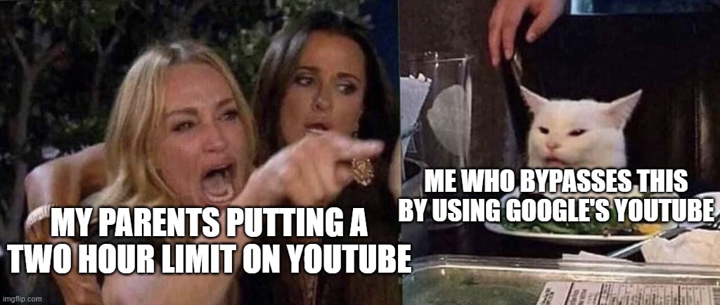 Checkmate, mom and dad | ME WHO BYPASSES THIS BY USING GOOGLE'S YOUTUBE; MY PARENTS PUTTING A TWO HOUR LIMIT ON YOUTUBE | image tagged in woman yelling at cat | made w/ Imgflip meme maker