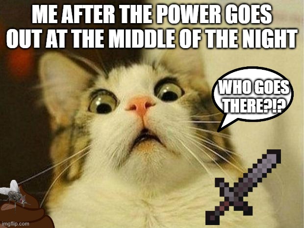 Please call 911 | ME AFTER THE POWER GOES OUT AT THE MIDDLE OF THE NIGHT; WHO GOES THERE?!? | image tagged in memes,scared cat | made w/ Imgflip meme maker