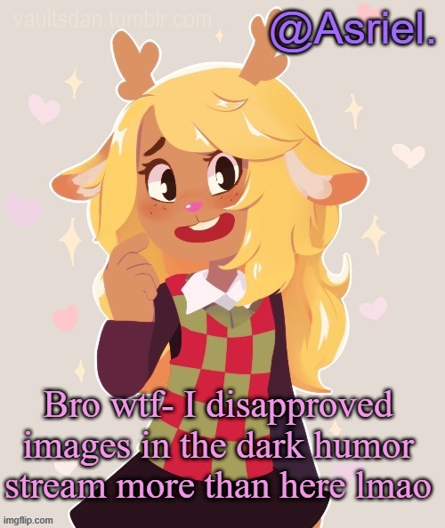 Mainly since they were against the rules, and especially political :/ | Bro wtf- I disapproved images in the dark humor stream more than here lmao | image tagged in asriel's noelle temp noelle best | made w/ Imgflip meme maker