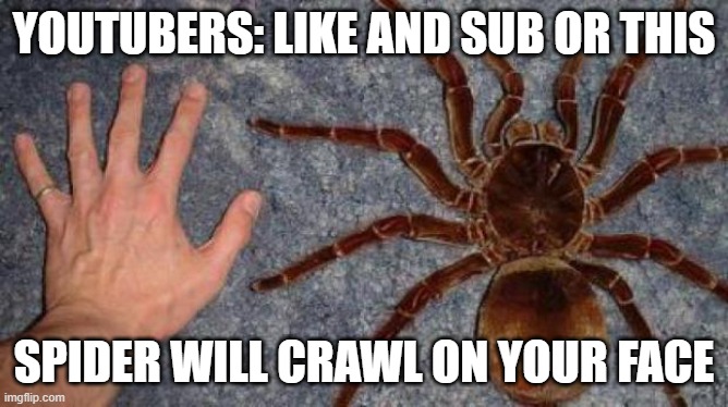 BIG spiders | YOUTUBERS: LIKE AND SUB OR THIS SPIDER WILL CRAWL ON YOUR FACE | image tagged in big spiders | made w/ Imgflip meme maker