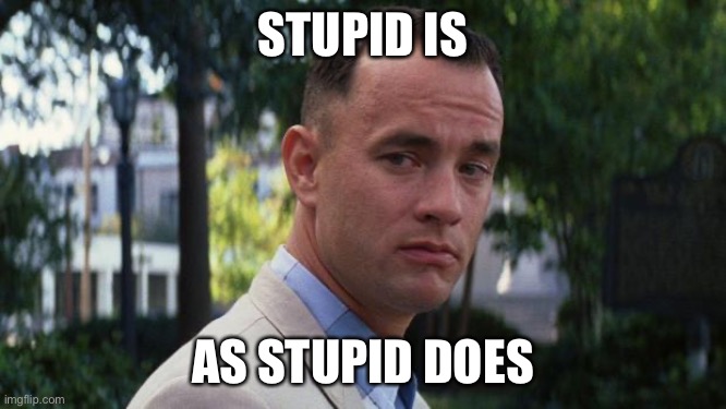 Forrest Gump | STUPID IS AS STUPID DOES | image tagged in forrest gump | made w/ Imgflip meme maker