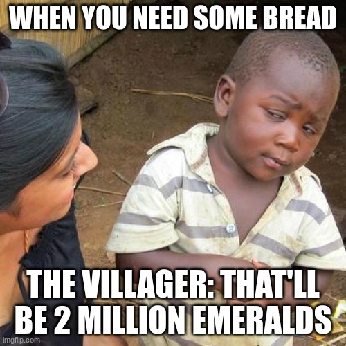 Third World Skeptical Kid | WHEN YOU NEED SOME BREAD; THE VILLAGER: THAT'LL BE 2 MILLION EMERALDS | image tagged in memes,minecraft villagers | made w/ Imgflip meme maker