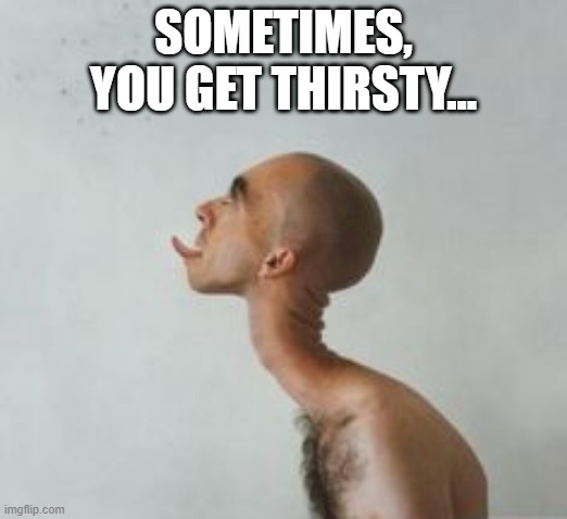 What The... | SOMETIMES, YOU GET THIRSTY... | image tagged in unsee juice | made w/ Imgflip meme maker