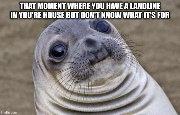 Awkward Moment Sealion Meme | THAT MOMENT WHERE YOU HAVE A LANDLINE IN YOU'RE HOUSE BUT DON'T KNOW WHAT IT'S FOR | image tagged in memes,awkward moment sealion | made w/ Imgflip meme maker