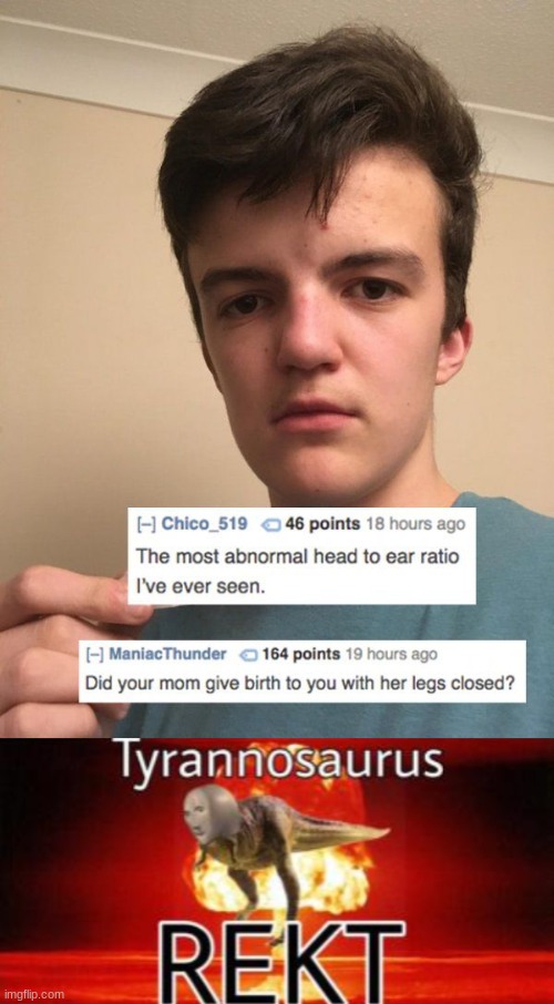 image tagged in tyrannosaurus rekt,roast,reddit | made w/ Imgflip meme maker