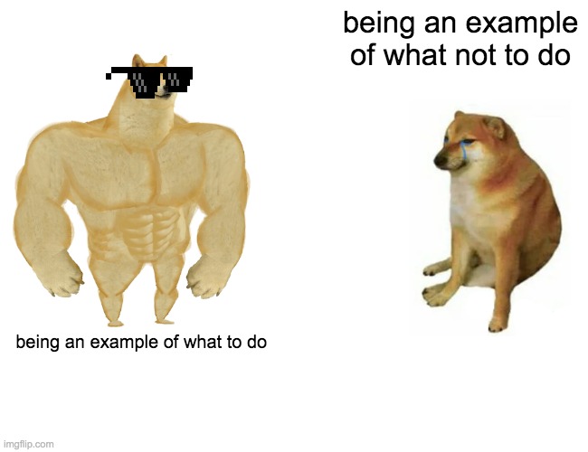Buff Doge vs. Cheems | being an example of what not to do; being an example of what to do | image tagged in memes,buff doge vs cheems | made w/ Imgflip meme maker