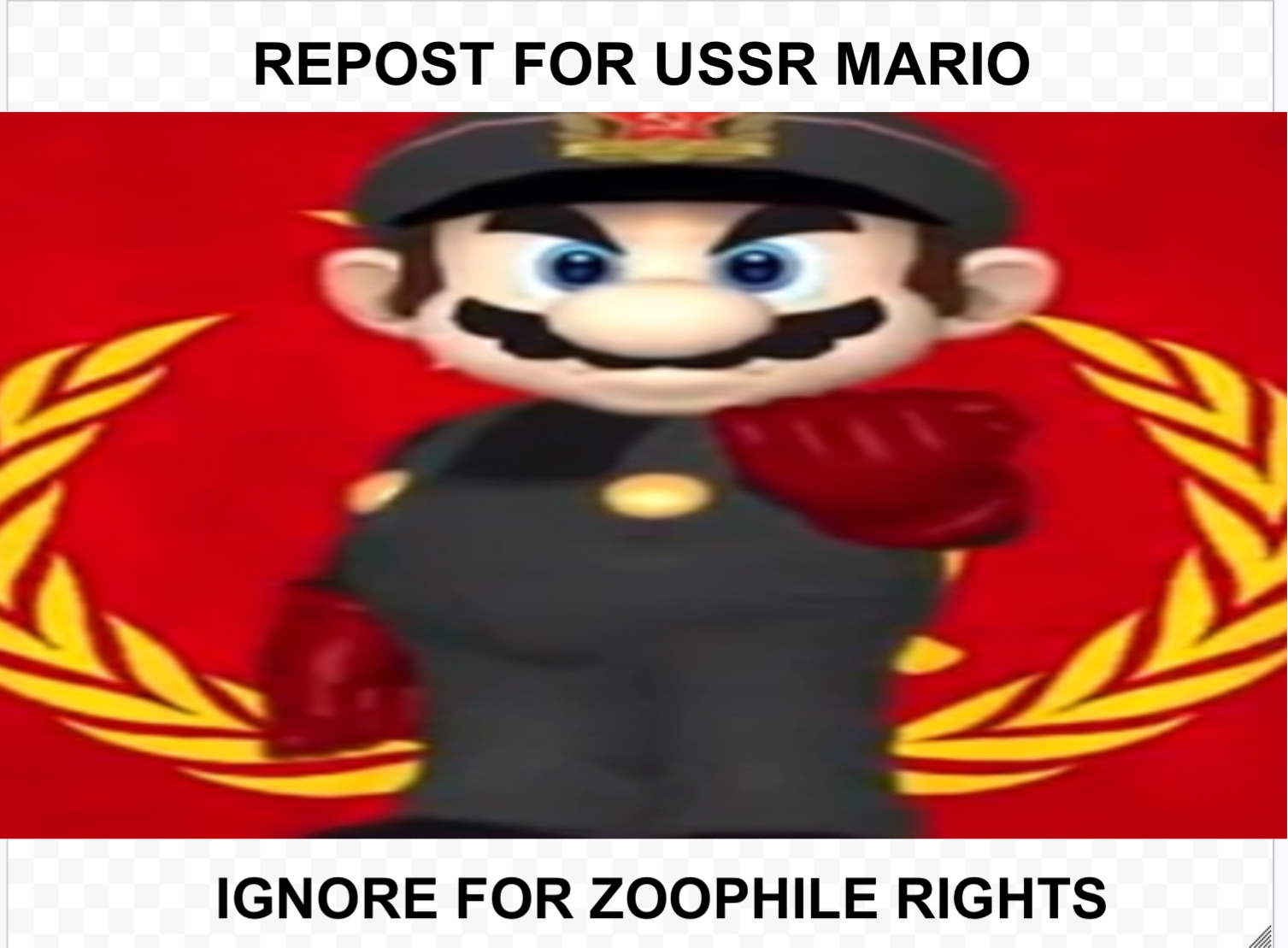 USSR Mario Blank Meme Template