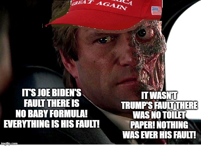 Two Face Maga | IT WASN'T TRUMP'S FAULT THERE WAS NO TOILET PAPER! NOTHING WAS EVER HIS FAULT! IT'S JOE BIDEN'S FAULT THERE IS NO BABY FORMULA! EVERYTHING IS HIS FAULT! | image tagged in two face maga | made w/ Imgflip meme maker