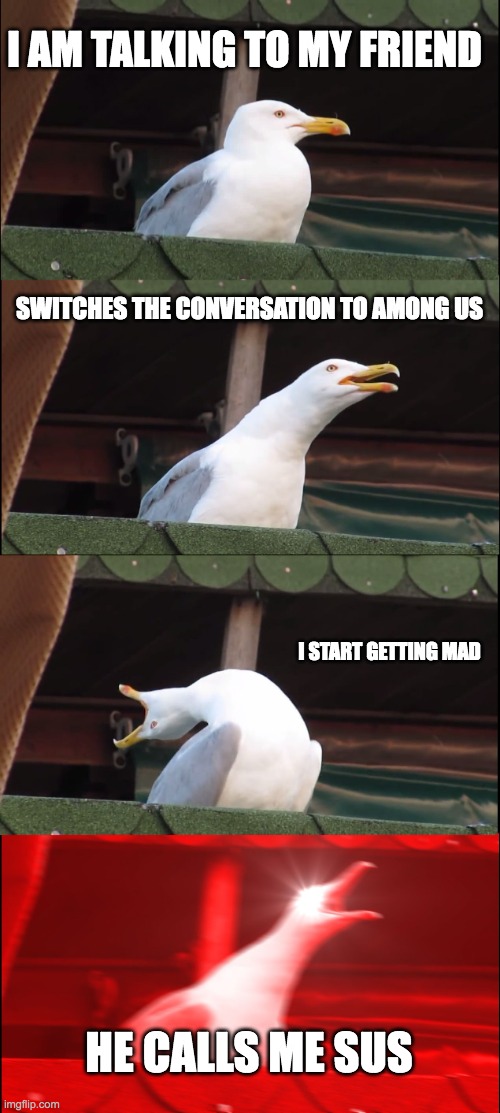 Inhaling Seagull | I AM TALKING TO MY FRIEND; SWITCHES THE CONVERSATION TO AMONG US; I START GETTING MAD; HE CALLS ME SUS | image tagged in memes,inhaling seagull | made w/ Imgflip meme maker