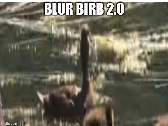 blur birb | BLUR BIRB 2.0 | made w/ Imgflip meme maker