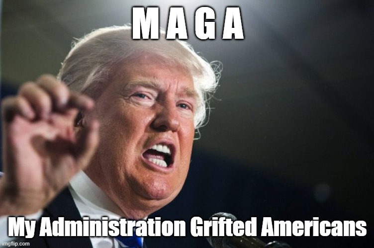 MAGA | M A G A; My Administration Grifted Americans | image tagged in donald trump | made w/ Imgflip meme maker