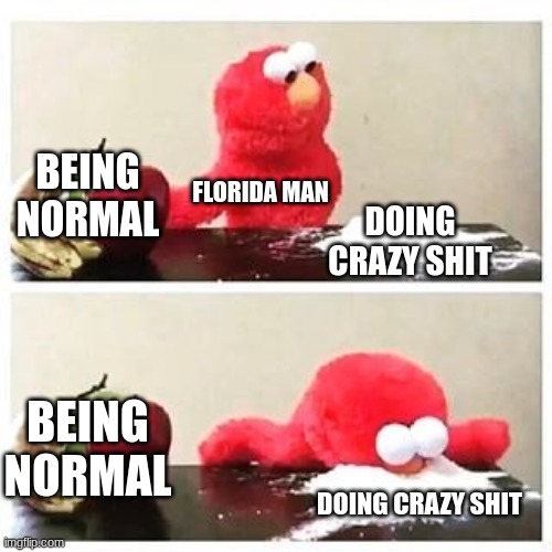 Florida Man |  BEING NORMAL; FLORIDA MAN; DOING CRAZY SHIT; BEING NORMAL; DOING CRAZY SHIT | image tagged in elmo cocaine,florida man | made w/ Imgflip meme maker