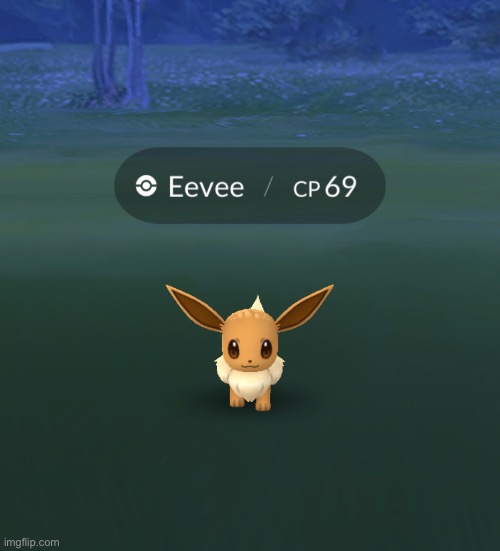 Found this at the airport yesterday | made w/ Imgflip meme maker