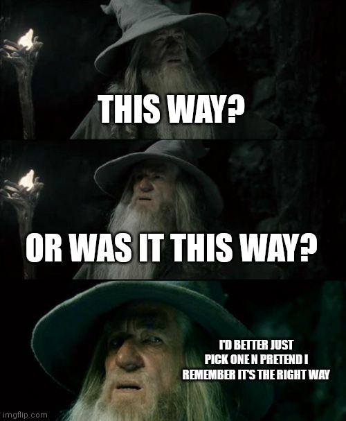 Confused Gandalf | THIS WAY? OR WAS IT THIS WAY? I'D BETTER JUST PICK ONE N PRETEND I REMEMBER IT'S THE RIGHT WAY | image tagged in memes,confused gandalf | made w/ Imgflip meme maker