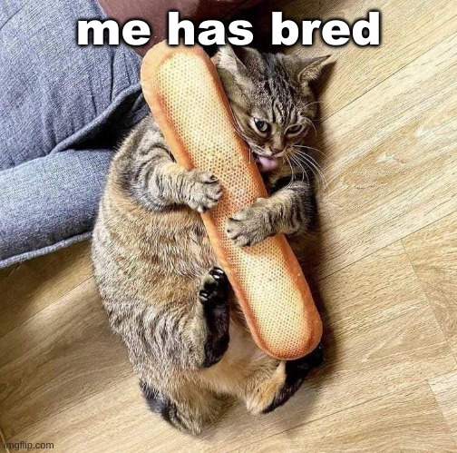 me has bred | made w/ Imgflip meme maker