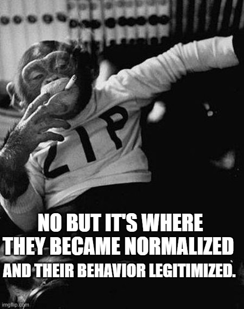 Zip the Smoking Chimp | AND THEIR BEHAVIOR LEGITIMIZED. NO BUT IT'S WHERE THEY BECAME NORMALIZED | image tagged in zip the smoking chimp | made w/ Imgflip meme maker