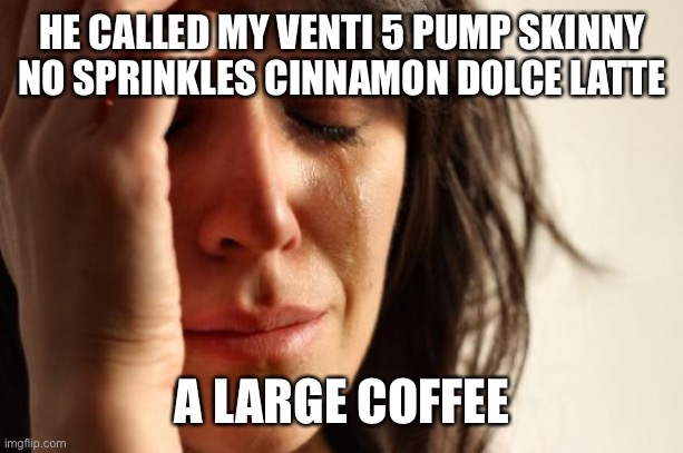 First World Problems | HE CALLED MY VENTI 5 PUMP SKINNY NO SPRINKLES CINNAMON DOLCE LATTE; A LARGE COFFEE | image tagged in memes,first world problems | made w/ Imgflip meme maker