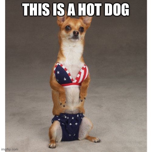 THIS IS A HOT DOG | made w/ Imgflip meme maker