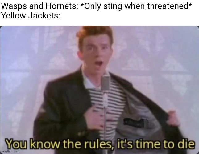 Biggest A-Holes on the face of the planet |  Wasps and Hornets: *Only sting when threatened*
Yellow Jackets: | image tagged in you know the rules it's time to die | made w/ Imgflip meme maker