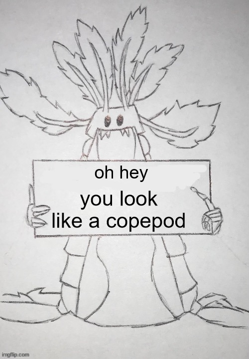 copepod holding a sign | oh hey you look like a copepod | image tagged in copepod holding a sign | made w/ Imgflip meme maker