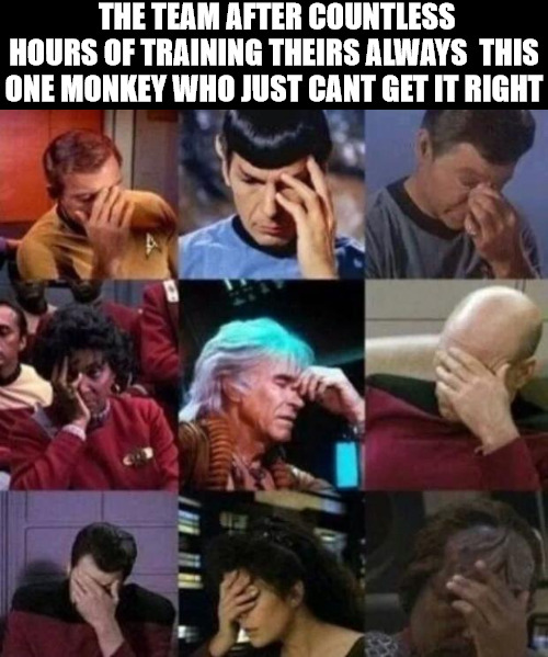 UNBELEIVABLE | THE TEAM AFTER COUNTLESS HOURS OF TRAINING THEIRS ALWAYS  THIS ONE MONKEY WHO JUST CANT GET IT RIGHT | image tagged in star trek face palm | made w/ Imgflip meme maker