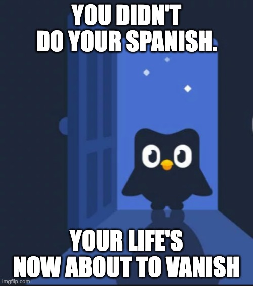 do it before it is too late | YOU DIDN'T DO YOUR SPANISH. YOUR LIFE'S NOW ABOUT TO VANISH | image tagged in duolingo bird | made w/ Imgflip meme maker