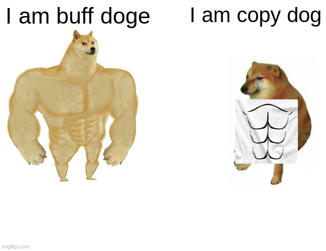 Buff Doge vs. Cheems | I am buff doge; I am copy dog | image tagged in memes,buff doge vs cheems | made w/ Imgflip meme maker