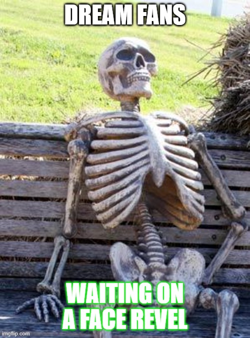 NO but really tho when does it happen DREAM | DREAM FANS; WAITING ON A FACE REVEL | image tagged in memes,waiting skeleton | made w/ Imgflip meme maker